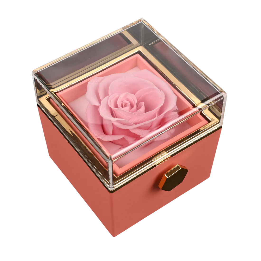 Rose Box &amp; Necklace