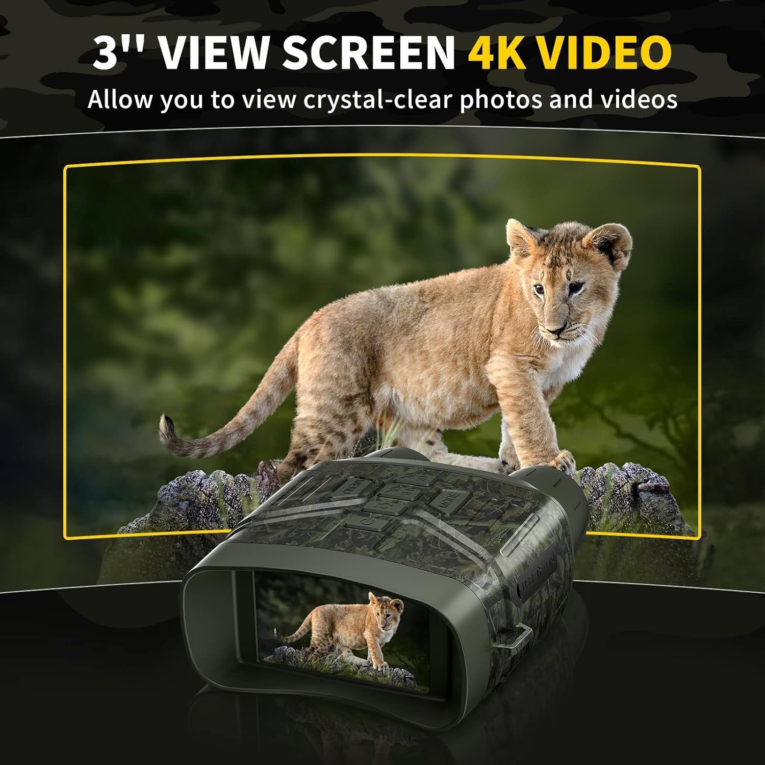 4K Vision Pro