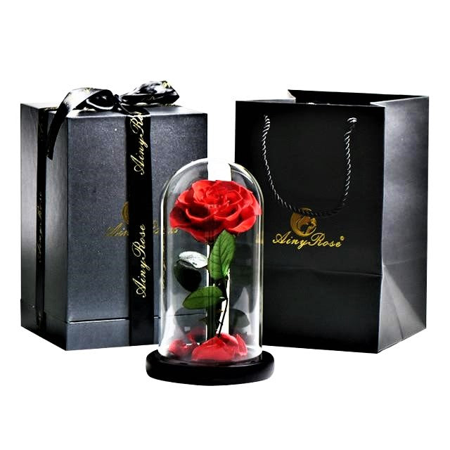 Preserved Natural Rose In Glass Dome + Gift Box