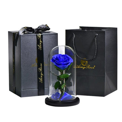 Preserved Natural Rose In Glass Dome + Gift Box